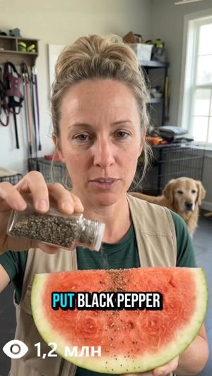 Sarah sharing a dog-food tip — 1.2M views