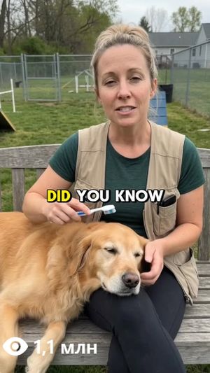 Sarah demonstrating dental care — 1.1M views