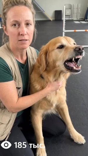 Sarah showing paw care — 185K views