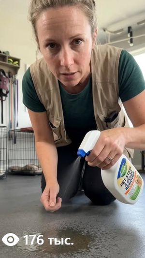Sarah with a home dog-care remedy — 176K views