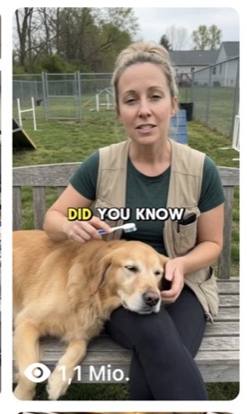 Sarah dog tip